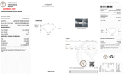 3.02 Carat D-VVS1 Elongated Cushion Lab Grown Diamond - IGI (128187) - PBD Loose Diamond