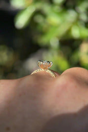3.02ct D - VS1 Marquise Lab Diamond Hand Engraved Flat Taper Ring - PBD Engagement Rings
