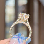 3.02ct D-VS1 Round Lab Diamond Isabela Engagement Rings Princess Bride Diamonds 