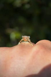 3.02ct D - VVS2 Marquise Lab Diamond Arwen - PBD Engagement Rings