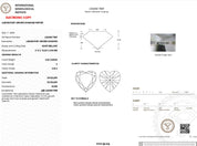 3.02ct E-VVS2 Heart Lab Diamond Nova Engagement Rings Princess Bride Diamonds 