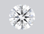 3.03 Carat E-VS1 Round Lab Grown Diamond - IGI (#49861) Loose Diamond Princess Bride Diamonds 