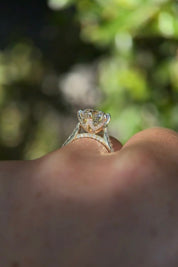 3.03ct D - VS1 Round Lab Diamond Isabela - PBD Engagement Rings