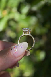3.03ct E - VS1 Cushion Lab Diamond Alice - PBD Engagement Rings