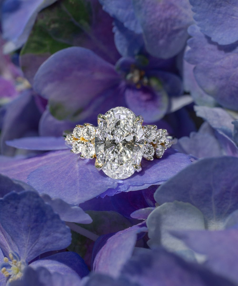 3.04ct F - VS1 Oval Lab Diamond Nova Cathedral - PBD Engagement Rings