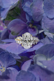 3.04ct F - VS1 Oval Lab Diamond Nova Cathedral - PBD Engagement Rings