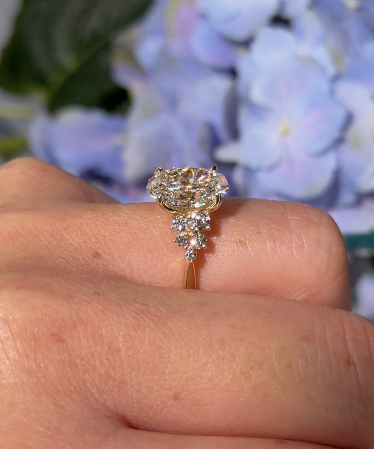 3.04ct F - VS1 Oval Lab Diamond Nova Cathedral - PBD Engagement Rings
