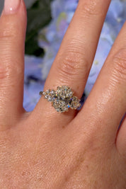 3.04ct F - VS1 Oval Lab Diamond Nova Cathedral - PBD Engagement Rings