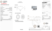 3.08 Carat E-VVS2 Oval Lab Grown Diamond - IGI (128292) - PBD Loose Diamond