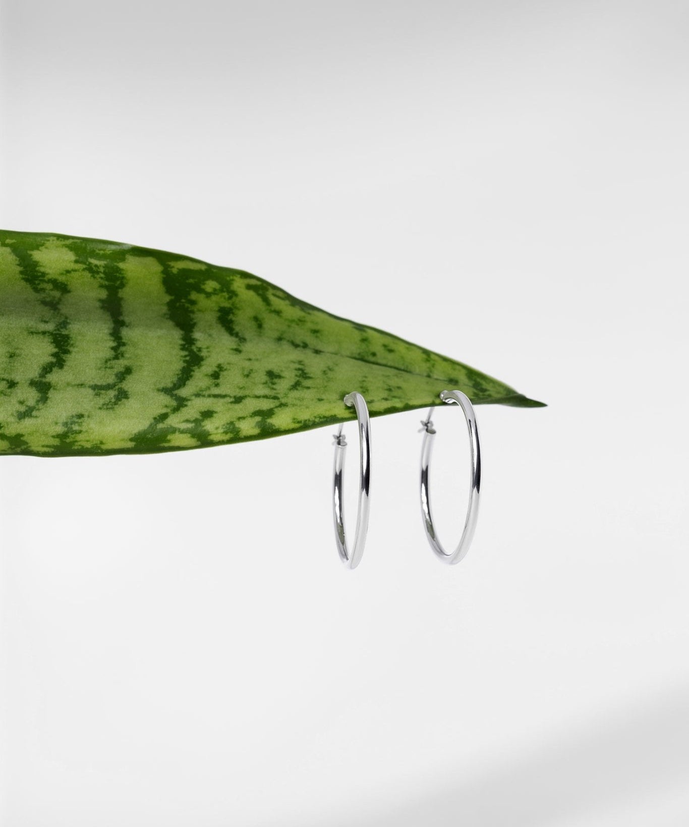 30x2mm Hollow High Polish Hoop 14k White - PBD Earrings