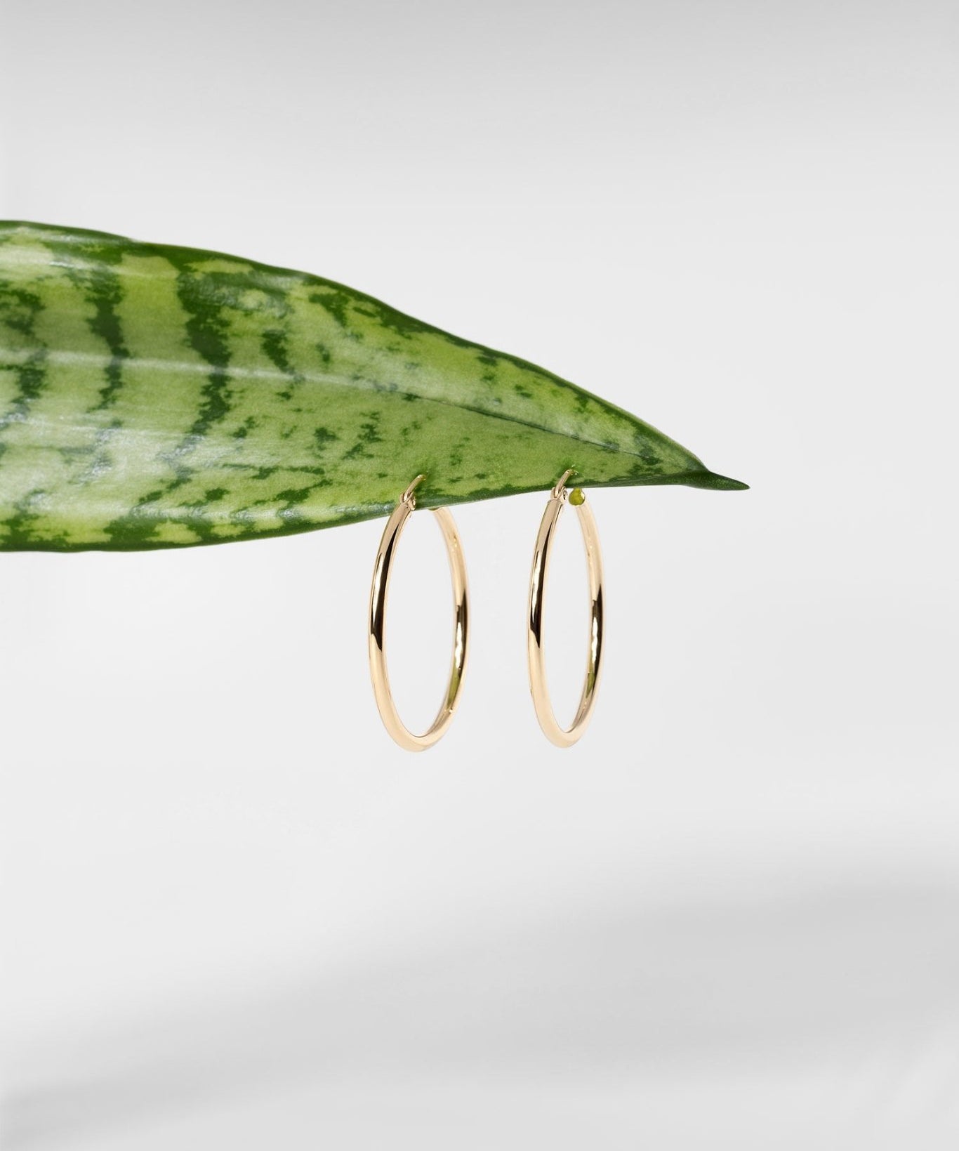 30x2mm Hollow High Polish Hoop 14k Yellow - PBD Earrings