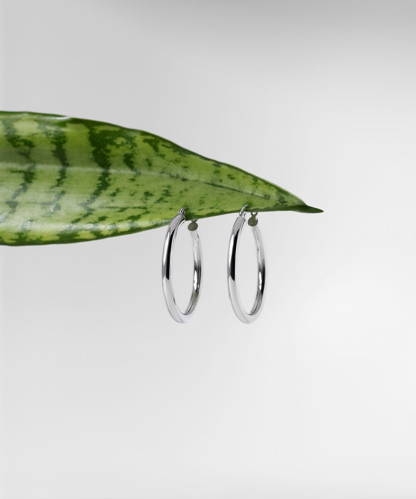 30x3mm Hollow High Polish Hoop 14k White - PBD Earrings