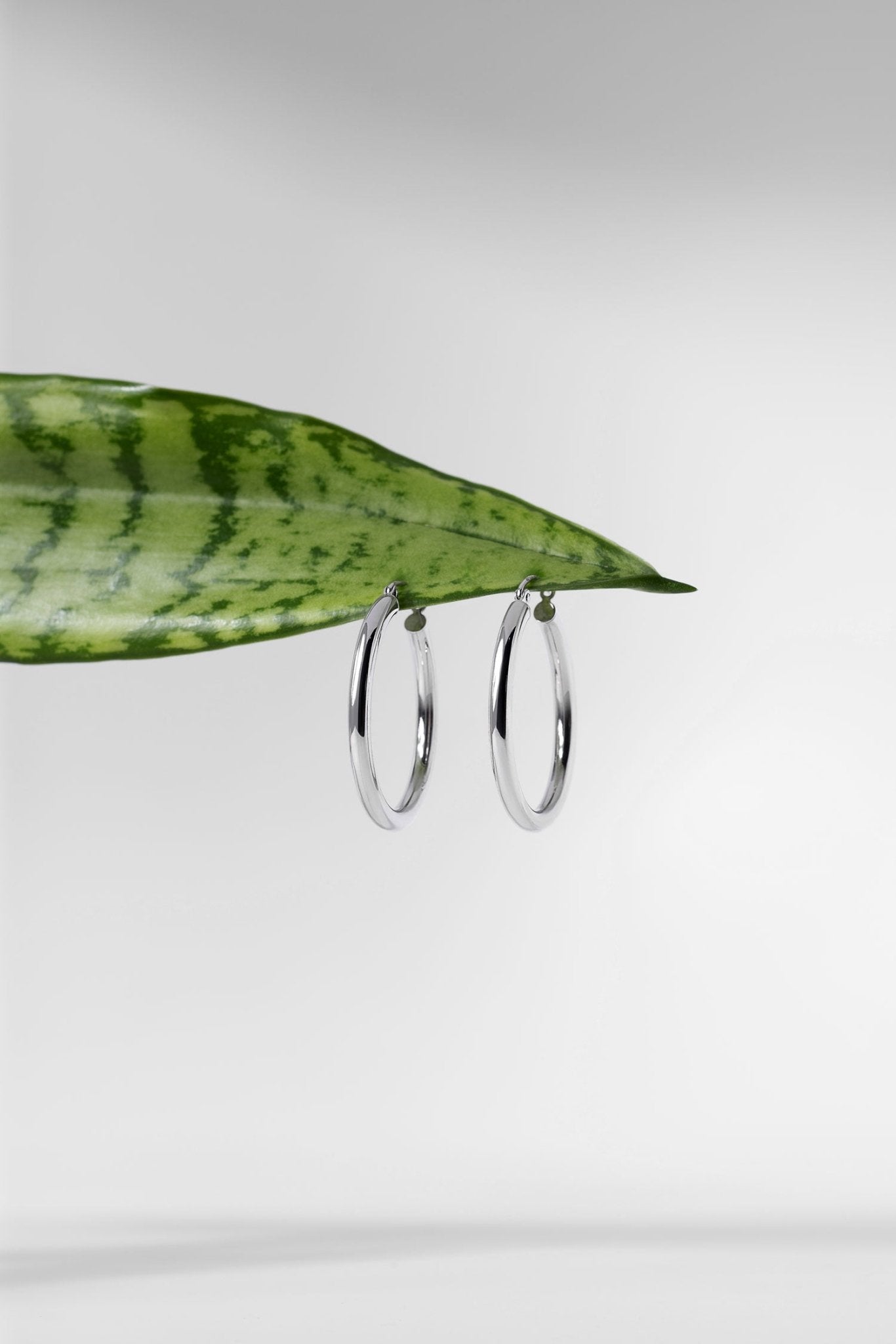 30x3mm Hollow High Polish Hoop 14k White - PBD Earrings