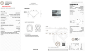 3.46 Carat D-VS1 Elongated Cushion Lab Grown Diamond - IGI (128101) - PBD Loose Diamond