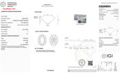 3.53 Carat F-VS1 Oval Lab Grown Diamond - IGI (128321) - PBD Loose Diamond