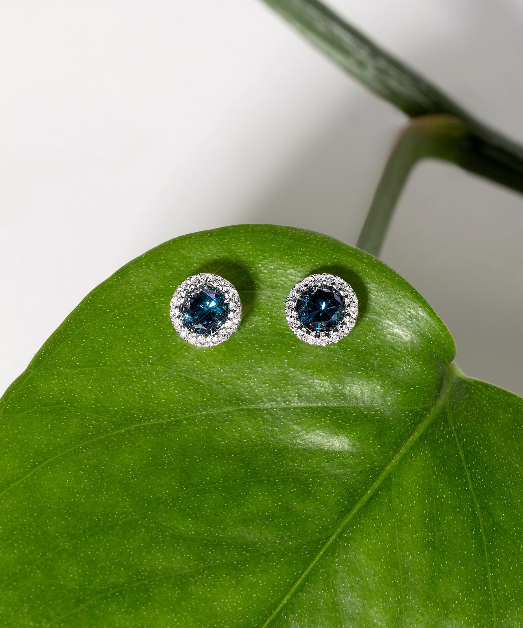 Pair of earrings with blue gemstones on a green leaf