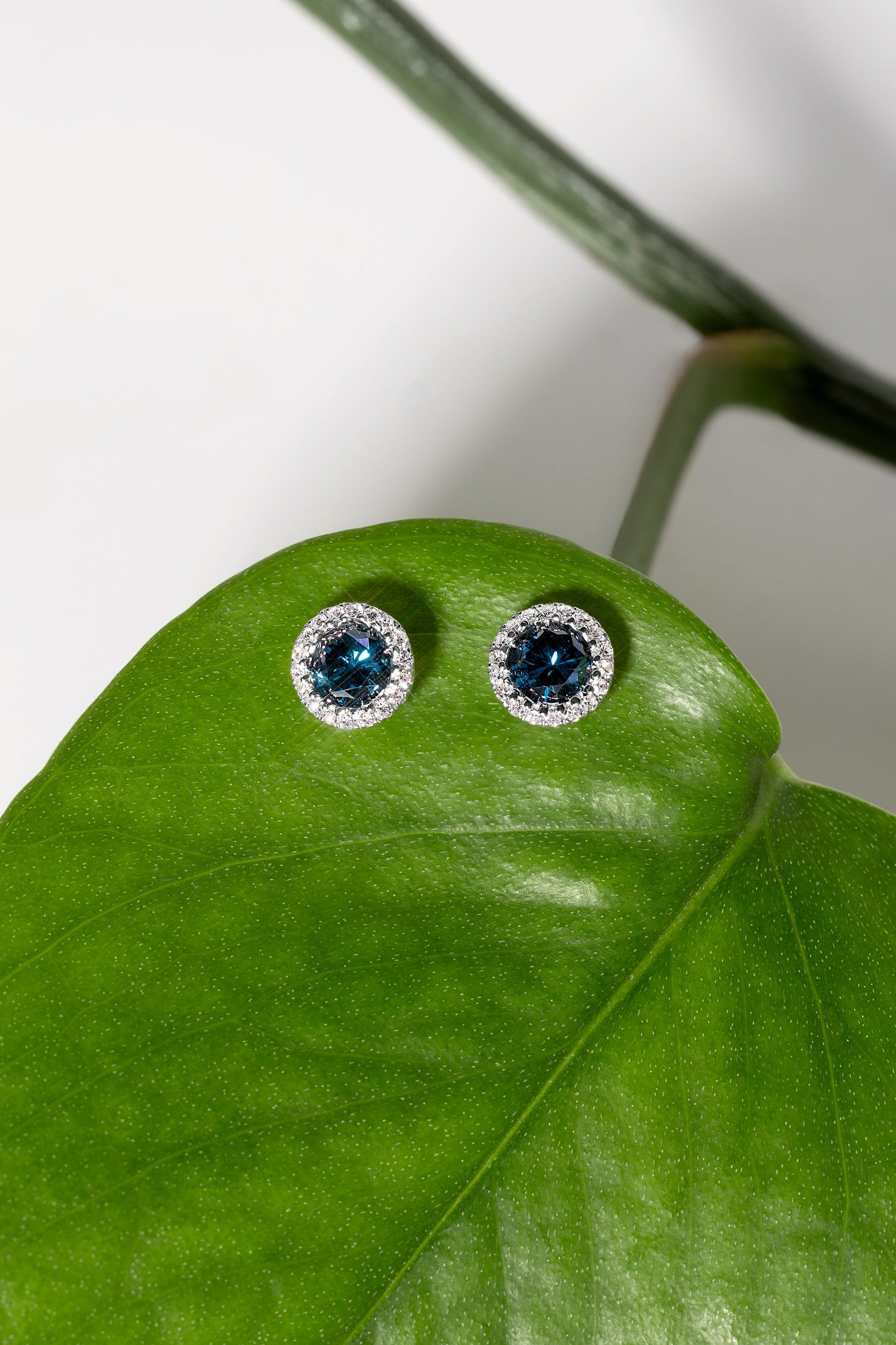 Pair of earrings with blue gemstones on a green leaf