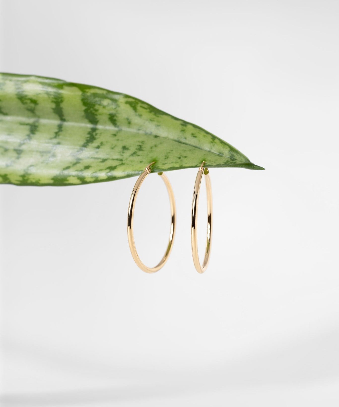 35x2mm Hollow High Polish Hoop 14k Yellow - PBD Earrings