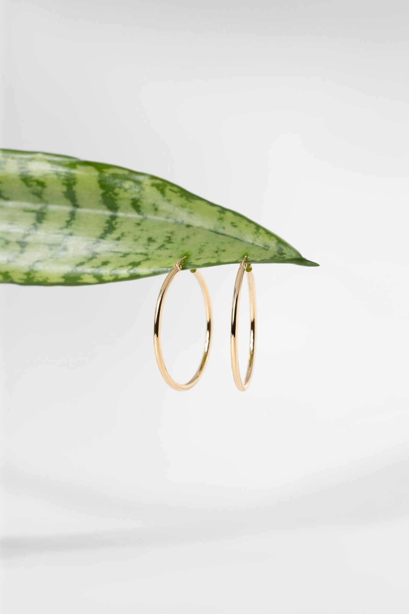 35x2mm Hollow High Polish Hoop 14k Yellow - PBD Earrings