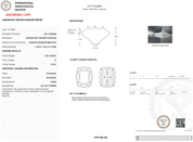 3.69 Carat D - VVS2 Elongated Cushion Lab Grown Diamond - IGI (121342) - PBD Loose Diamond
