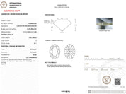 3.84 Carat F-VS1 Oval Lab Grown Diamond - IGI (#50282) Loose Diamond Princess Bride Diamonds 