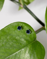 Blue Treated Natural Diamond Studs