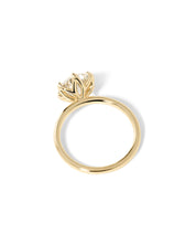 Caraline Round High Polish