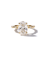 3.02ct D-VS1 Oval Lab Diamond Daisy