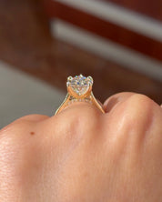 4.00ct E-VS1 Pear Lab Diamond Hana - PBD Engagement Rings