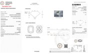 4.01 Carat F-VVS2 Elongated Cushion Lab Grown Diamond - IGI (126975) - PBD Loose Diamond