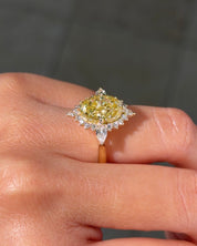 4.01ct FIY - VS1 Oval Lab Diamond Meridian - PBD Engagement Rings