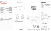 4.04 Carat E-VS1 Oval Lab Grown Diamond - IGI (#128644) - PBD Loose Diamond