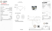 4.04 Carat E-VVS2 Oval Lab Grown Diamond - IGI (126960) - PBD Loose Diamond