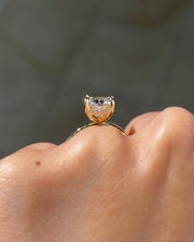 4.05ct F-VS1 Cushion Lab Diamond Kayla - PBD Engagement Rings