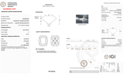 4.08 Carat E-VVS2 Elongated Cushion Lab Grown Diamond - IGI (#128962) - PBD Loose Diamond