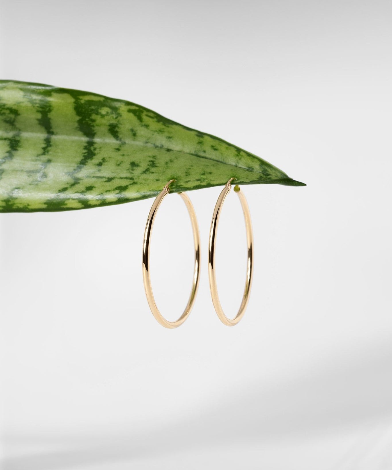 40x2mm Hollow High Polish Hoop 14k Yellow - PBD Earrings