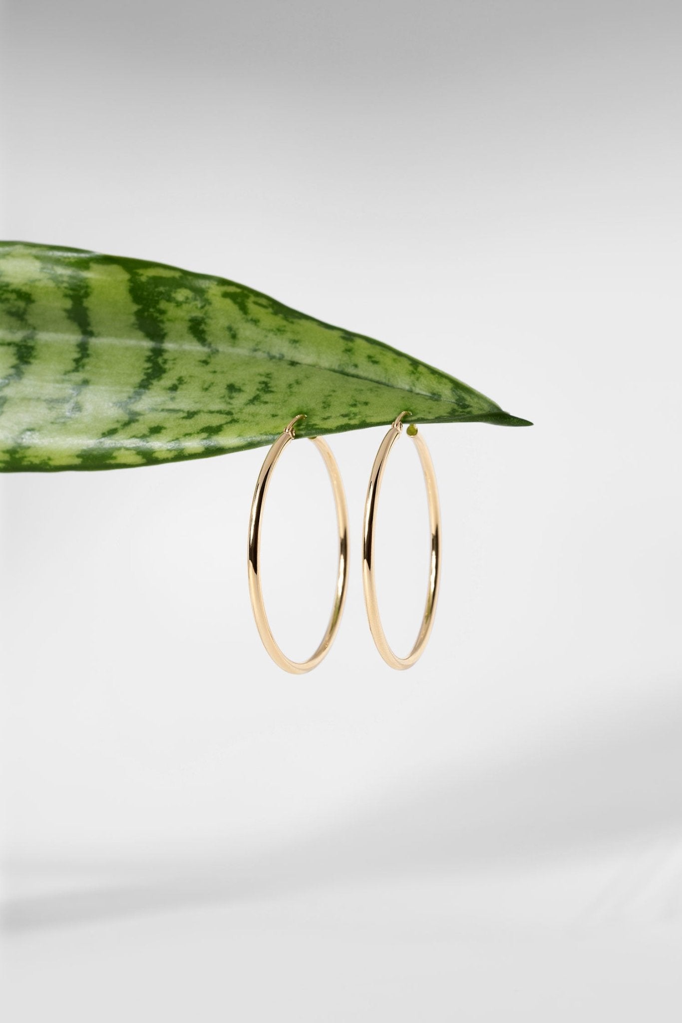 40x2mm Hollow High Polish Hoop 14k Yellow - PBD Earrings