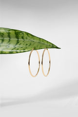 40x2mm Hollow High Polish Hoop 14k Yellow