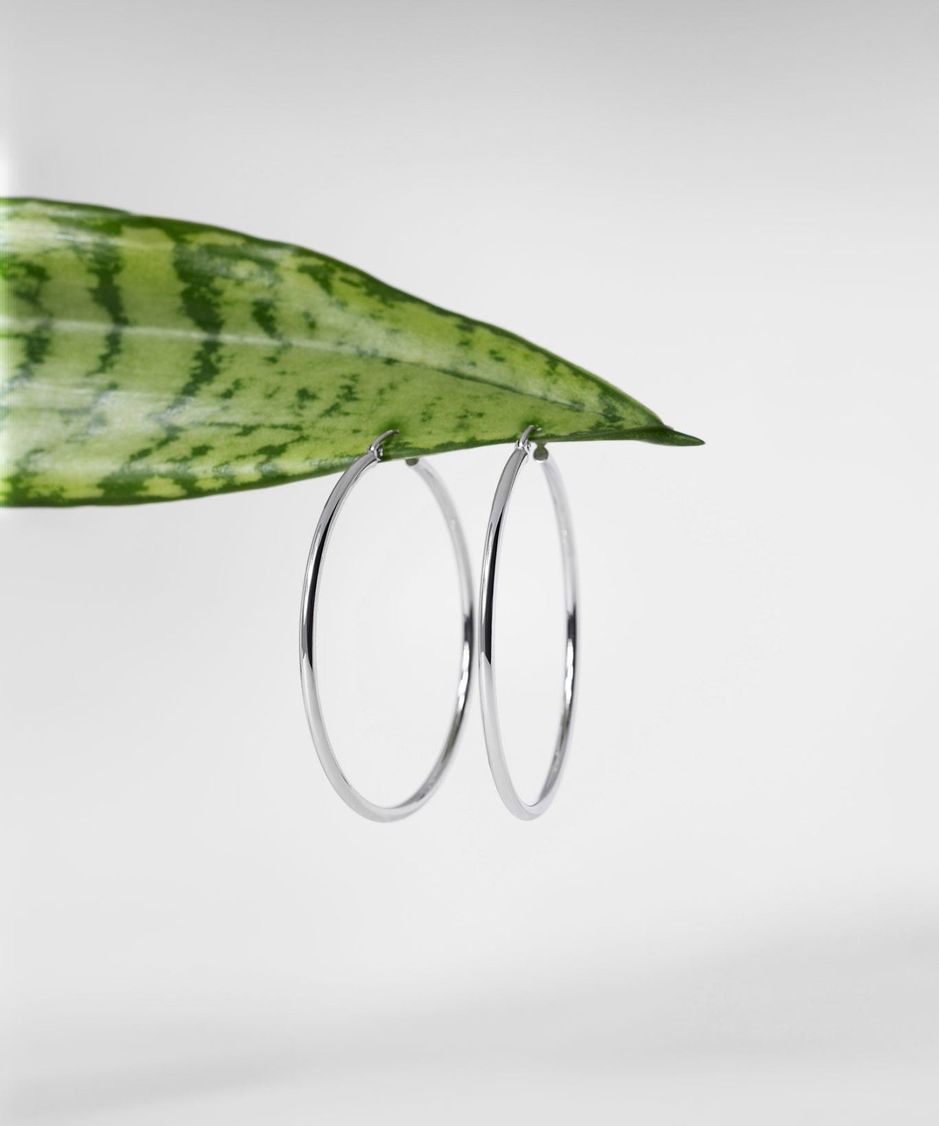 45x2mm Hollow High Polish Hoop 14k White - PBD Earrings