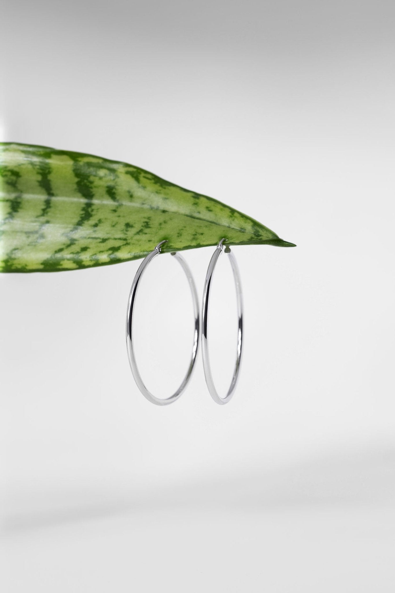 45x2mm Hollow High Polish Hoop 14k White - PBD Earrings