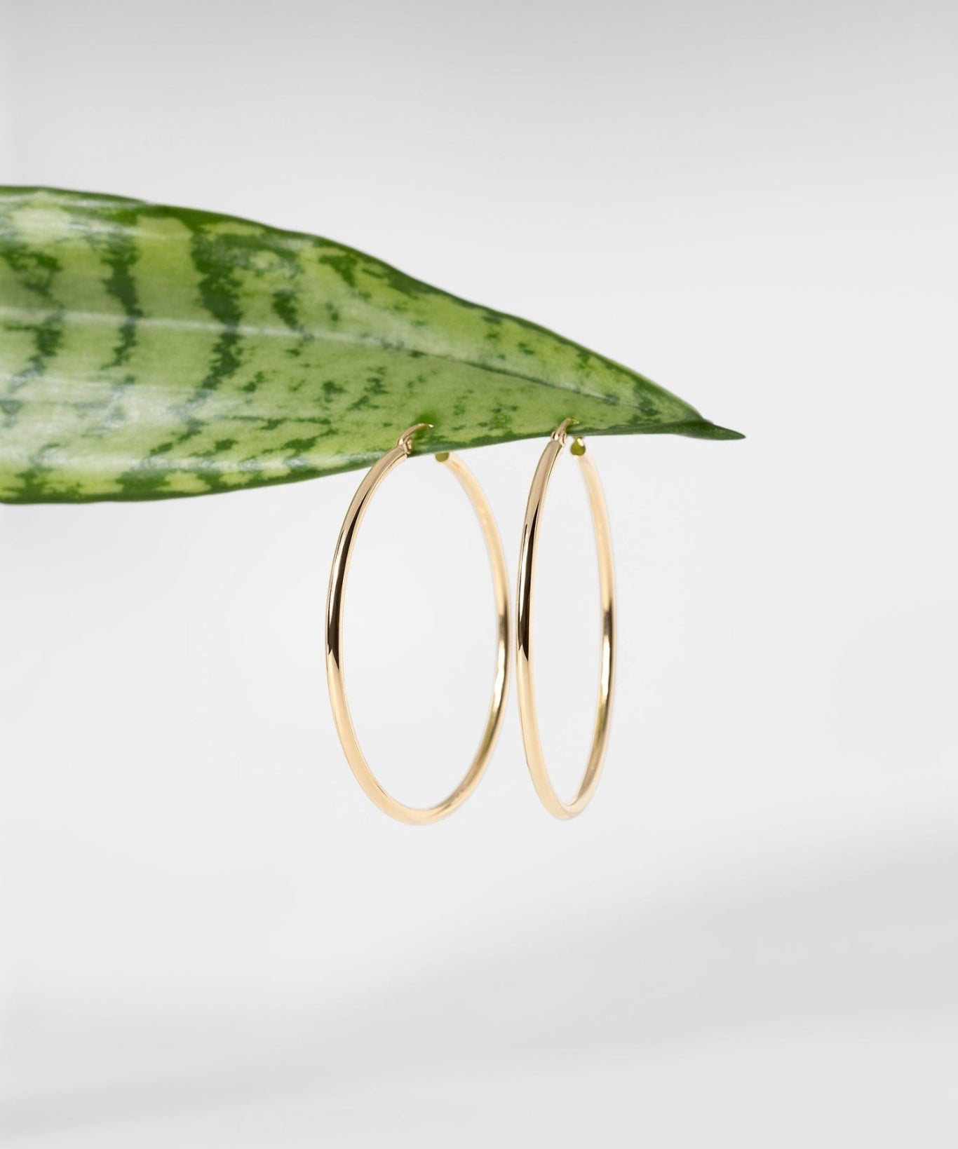 45x2mm Hollow High Polish Hoop 14k Yellow - PBD Earrings