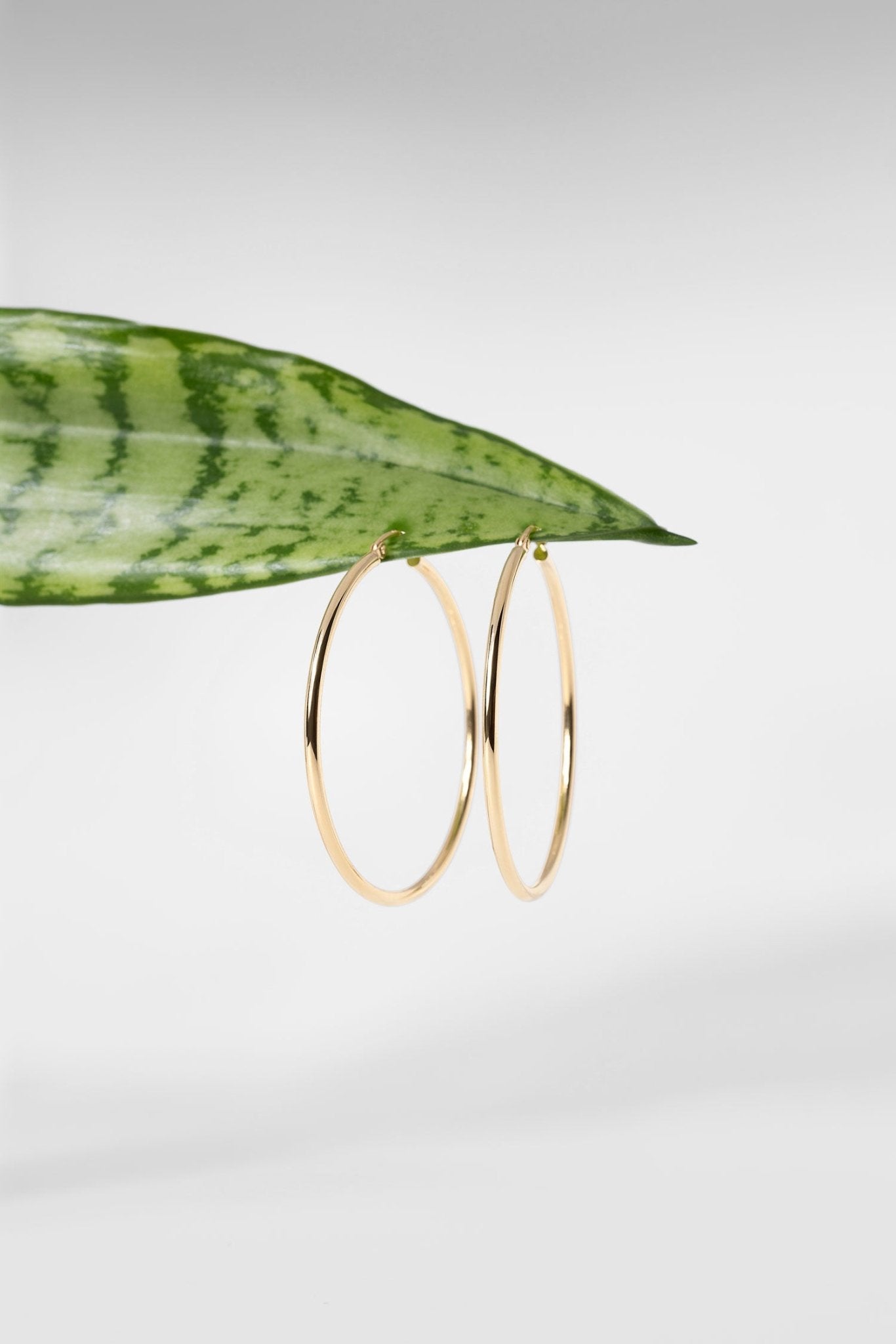 45x2mm Hollow High Polish Hoop 14k Yellow - PBD Earrings