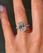 5.01ct E - VS1 Oval Lab Diamond Isabela - PBD Engagement Rings