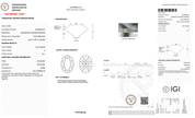 5.07 Carat E-VS1 Oval Lab Grown Diamond - IGI (128308) - PBD Loose Diamond