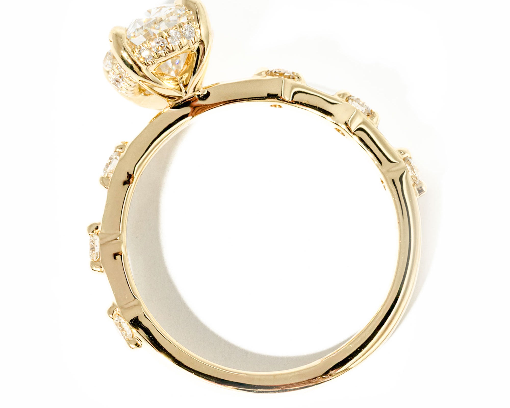 Daisy-Oval-New-Flat.jpg