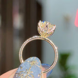 3.01ct D-VS1 Round Lab Diamond Caraline