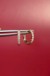 13x2mm Core Pavé Hoop 14k Yellow