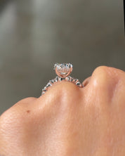 3.07ct F-VVS2 Oval Lab Diamond Rei