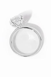 Kayla Round High Polish