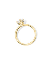 Kayla Pear High Polish Compass Prongs